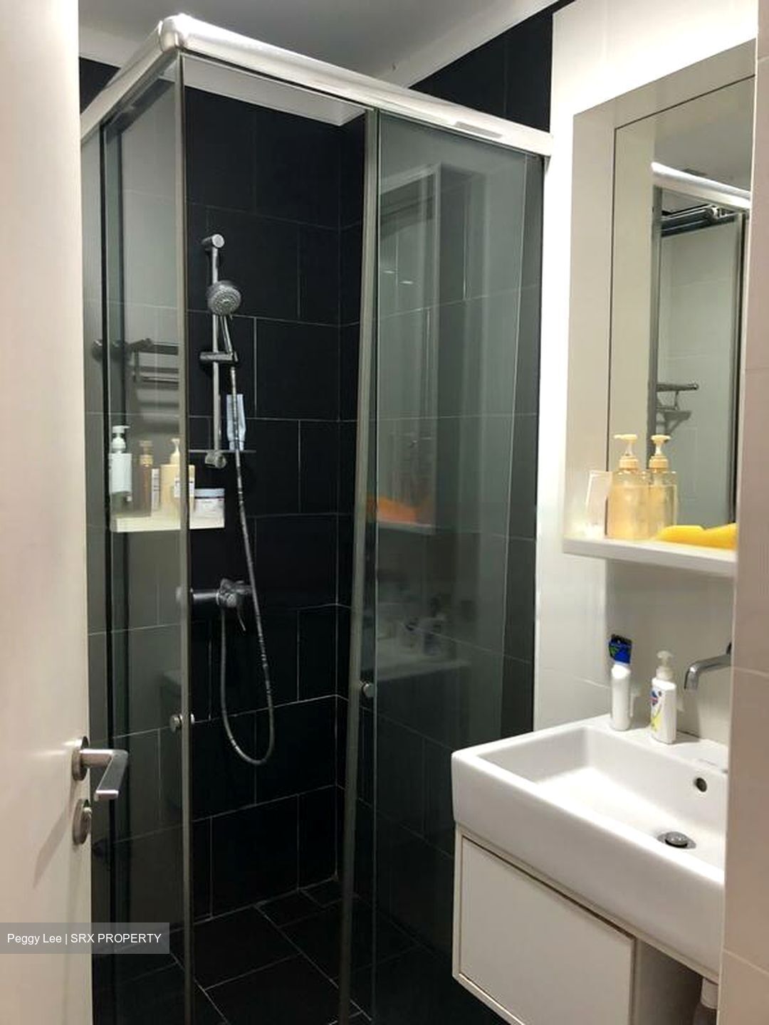 Village @ Pasir Panjang (D5), Condominium #447302271
